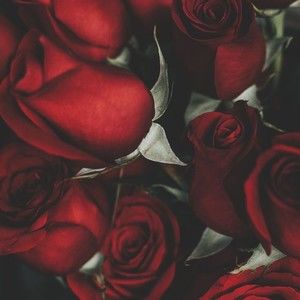 Meet your Posher, Ebony